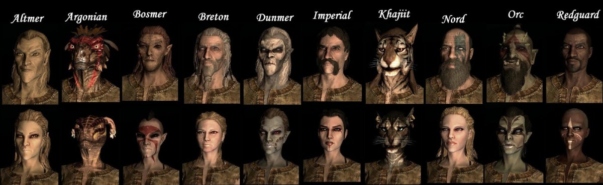 Skyrim Races